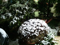 これぞ××　＋【お題日記】明日で世界が終わるなら何する？