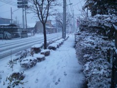 snowy world　＋【お題日記】一番好きな「缶詰」