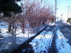 投票行って、が・い・しょく・・　＋【お題日記】自分の性的魅力はどんな所だと思う？