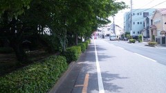 MY WORLD　＋【お題日記】ASKA逮捕でCD回収、どう思う?