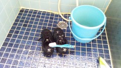 愛と勇気とズッコケて　＋【お題日記】能天気じゃダメですか？