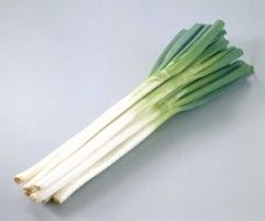 【お題日記】風邪をひいた時の対処法