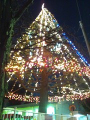 【お題日記】おすすめのクリスマスイルミネーション