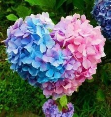 【お題日記】平成最後のHした？