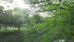 END OF LONG VACATION