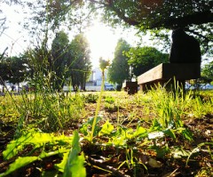 【お題日記】お気に入りの写真見せて