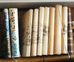 【お題日記】本棚にどんな本置いてる？