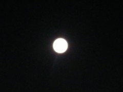 FULL MOON
