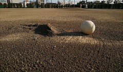 【お題日記】今更だけどハマってること