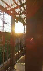 サンシャ～～～～イン！！♪