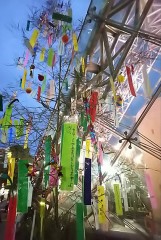 【お題日記】今年は短冊に何書く？