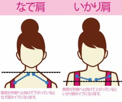 【お題日記】なで肩？いかり肩？