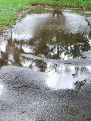 逸れてても・・・・。