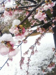 御報告いたします