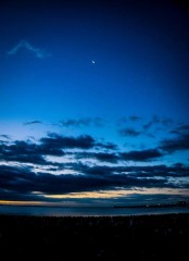 【お題日記】ふと淋しく思う時は？