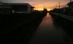 女性の暑さ事情