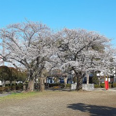 【お題日記】公園でのキスはどう？
