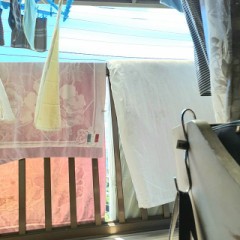 【お題日記】人生でこれだけはしておきたい事