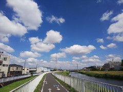 【お題日記】効果があった暑さ対策