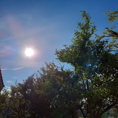 【お題日記】現金つかみ取りした事ありますか？