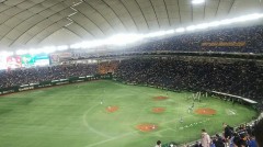 【お題日記】今年スポーツ観戦した？