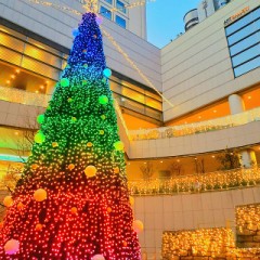 栗と鱒、なんじゃそりゃ('_'?)