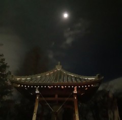 【お題日記】謹賀新年、今年のウラ的抱負をどうぞ