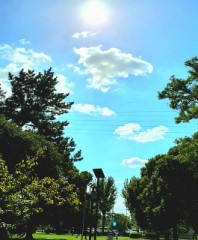 【お題日記】理想のシチュエーションは？