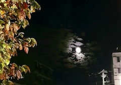 【お題日記】朝派？夜派？その理由は？