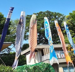 【お題日記】“今の自分を一番ダメにしてる習慣”を1つだけ消せるとしたら何？