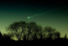 【お題日記】「ふたご座流星群」見れた？