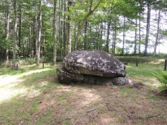 【お題日記】最近自然に触れましたか？