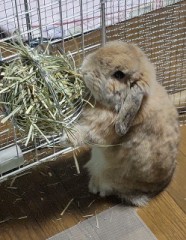 長年の裏切り、、