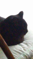 違う名前で呼んで、、