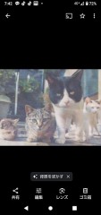パンツかぶって、、