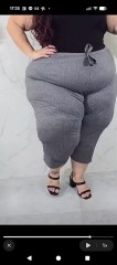 今年は何回?、、