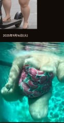 恋愛と学びと後悔と