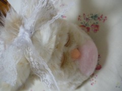 The Galaxy Express 999