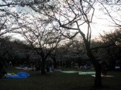 そりゃ、ないですぜ