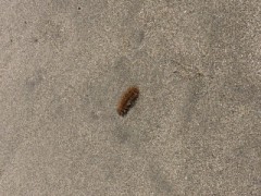 海って良いなぁ