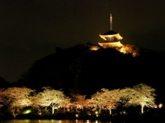 今日も寒いね！