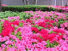 天気イイネ！^^