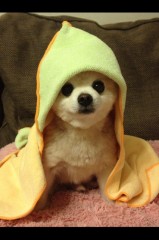 お久しぶりです(*^_^*)