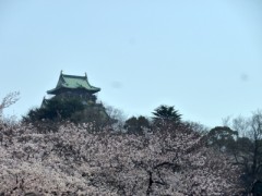 暖かいのか寒いのか…。。