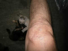 毛を剃られた思い出。