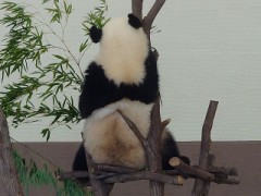 【お題日記】好きな匂い