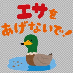 【お題日記】Ｈのためのトレーニングしてる？