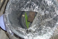 【お題日記】家庭菜園してる？