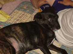 【お題日記】七夕デートって何したい？・・考えた事ない