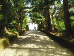 【お題日記】友達の家族との経験ある？